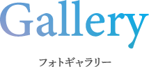 Gallery フォトギャラリー