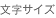文字サイズ