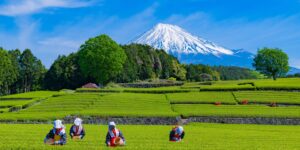 静岡の派遣会社とは